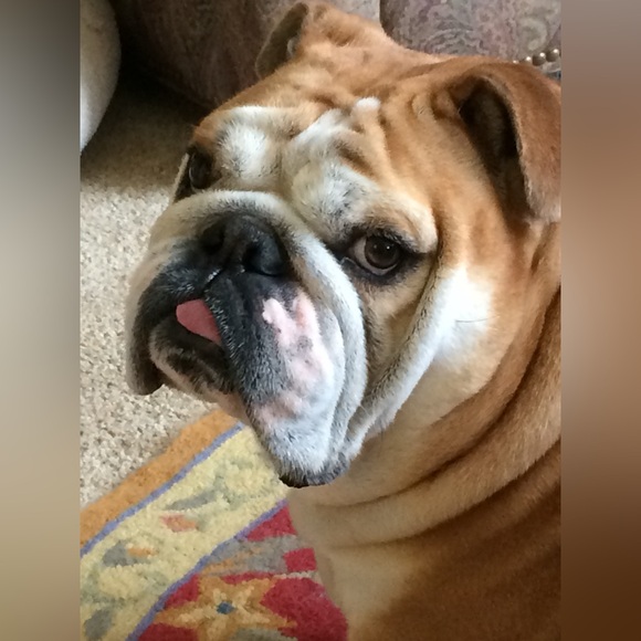 Meet your Posher - Picture 6 of 7